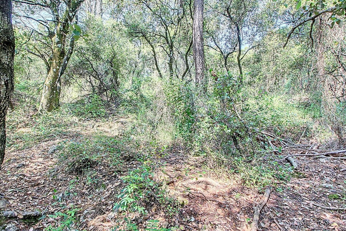 Terrain à LORGUES