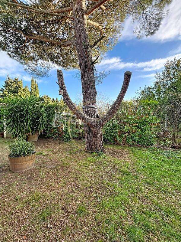 Maison à PENNAUTIER