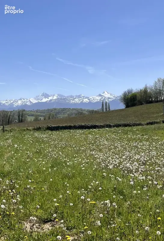 Terrain à LOUEY