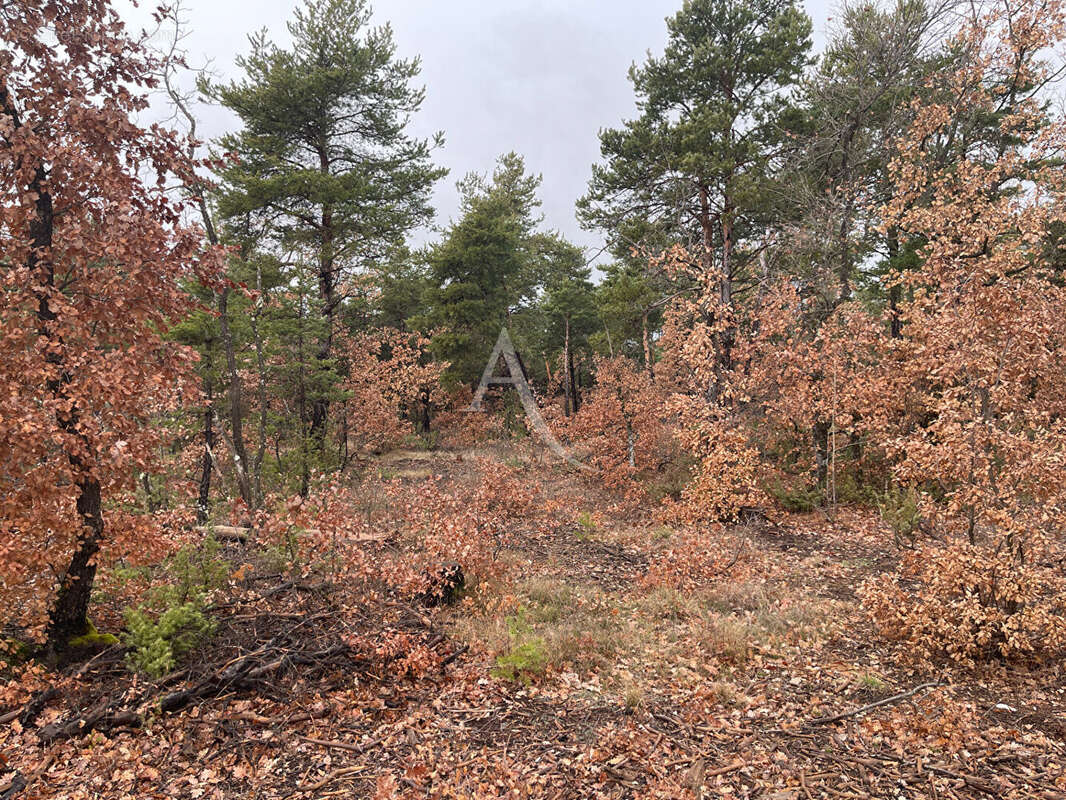 Terrain à ROUMOULES