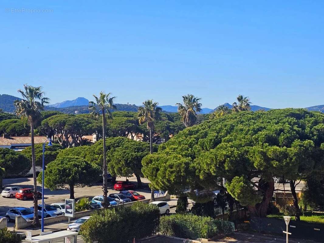 Hyères Port : Studio meublé  avec terrasse loggia et place parking privée en sous-sol sécurisé - photo 12