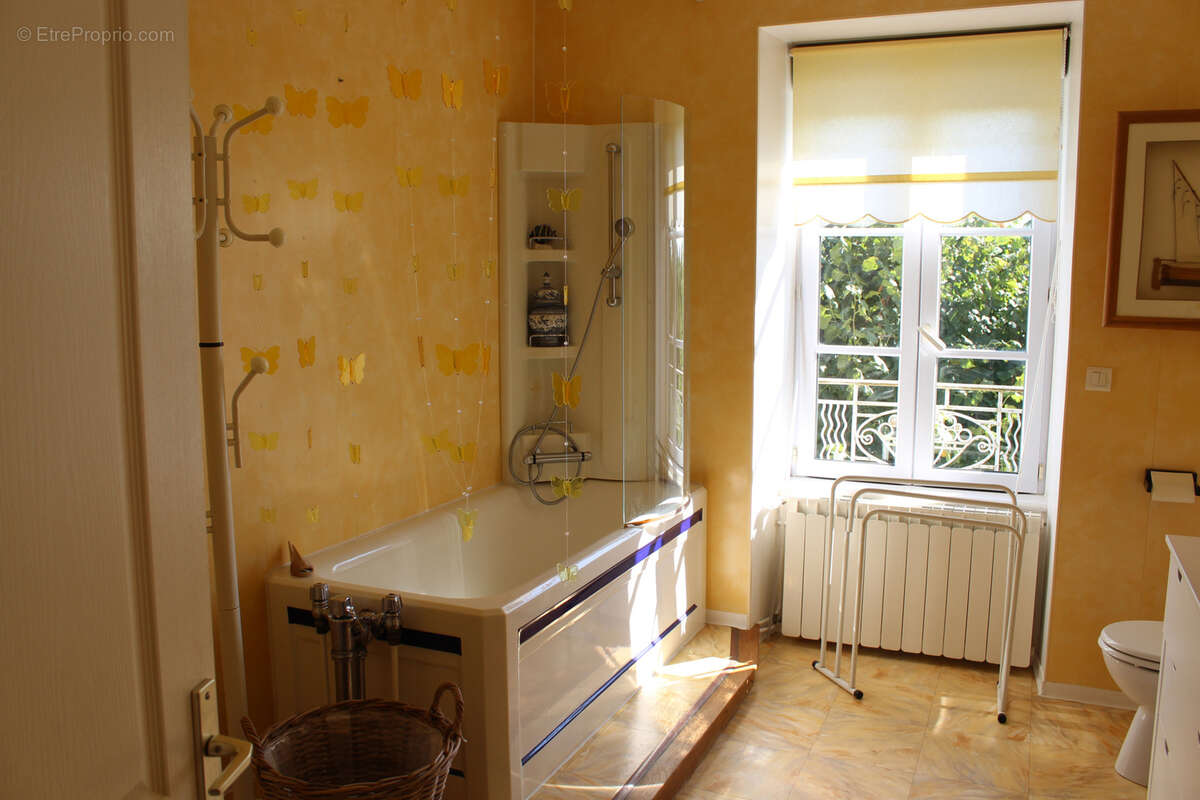 Maison à ANGLARDS-DE-SALERS