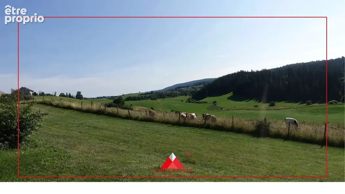 Magnifique Maison avec 6045m² de terrain et vue dégagée - photo 2