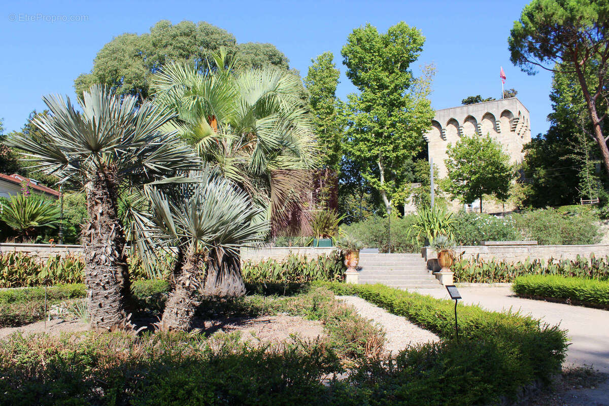 Maison à MONTPELLIER