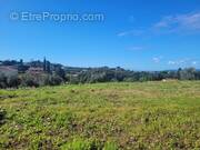 Photo 1 - Terrain à SAINT-LAURENT-DU-VAR