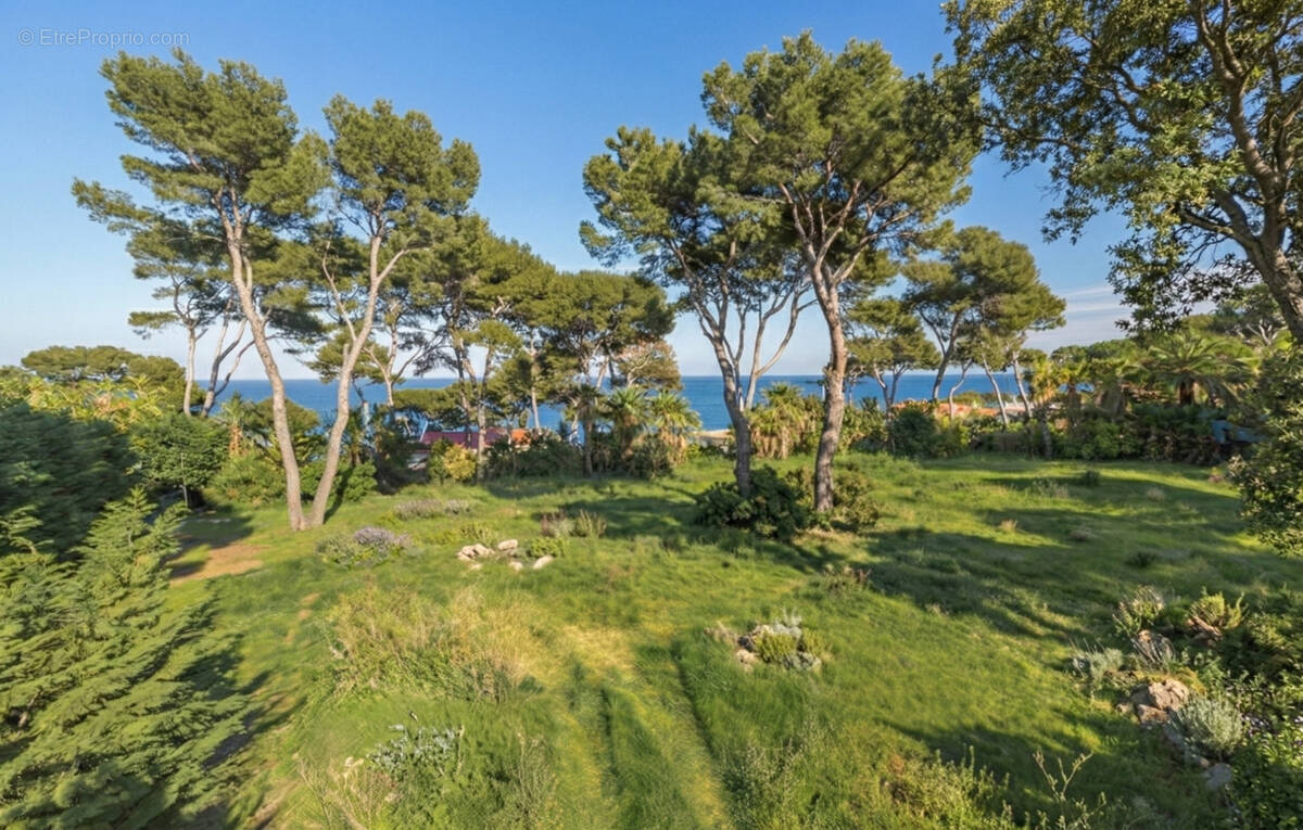Terrain à ANTIBES