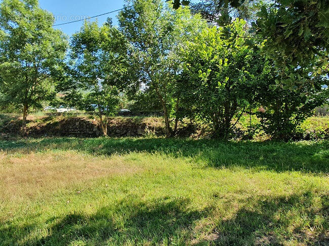 Terrain à PEZILLA-LA-RIVIERE