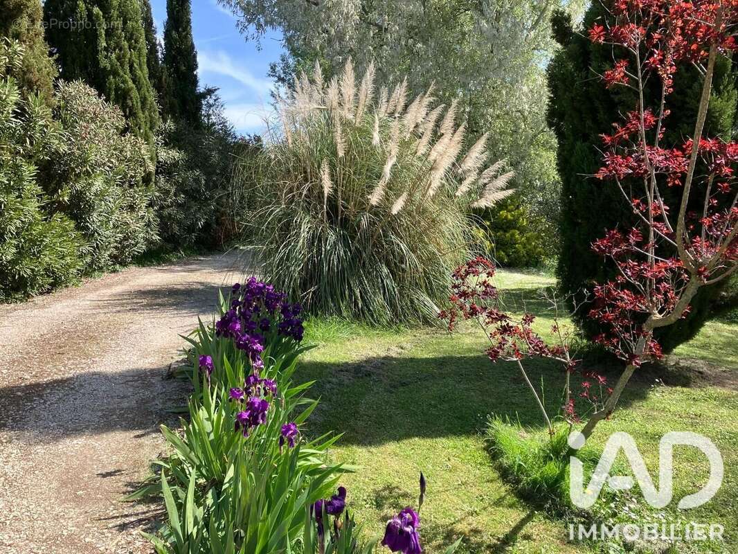 Photo 5 - Maison à BARBENTANE