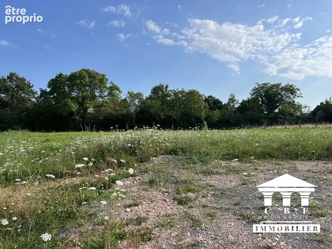 Terrain 768 m² à vendre à Saint-Sernin-Du-Bois (71200) - photo 7