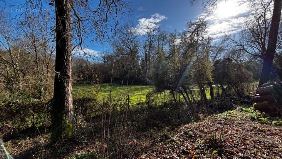 Photo Terrain à Latresne au prix de 290 000€