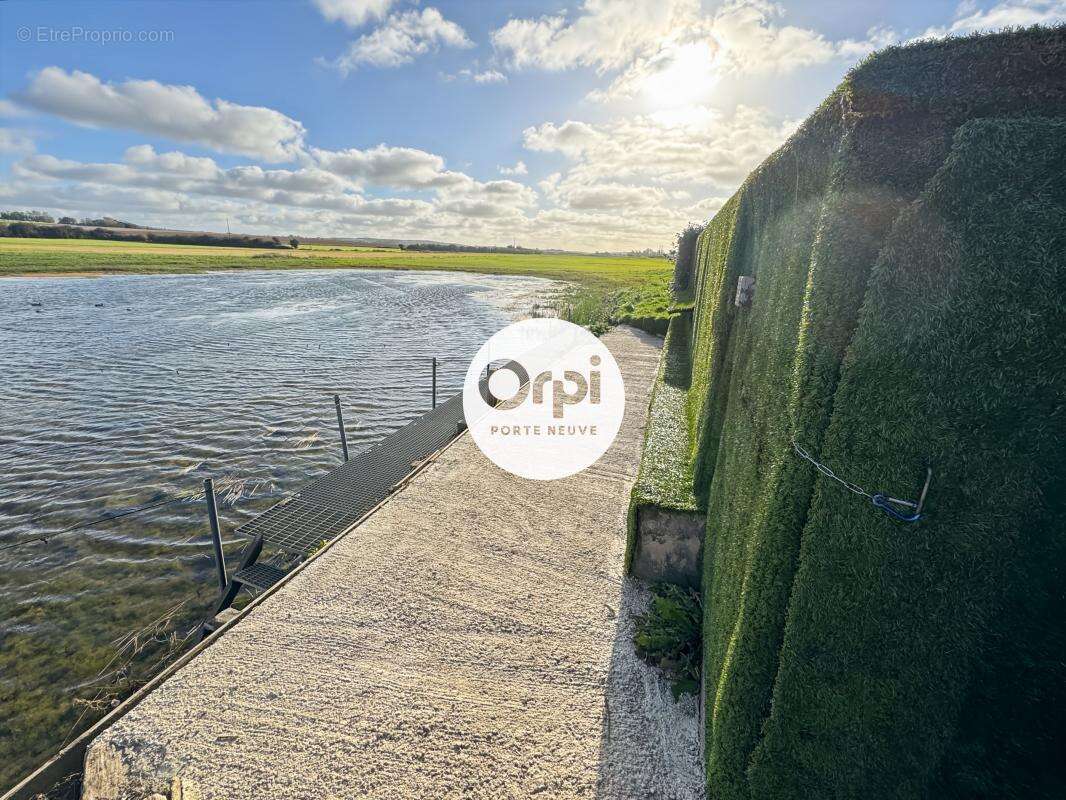 Terrain à BAZINGHEN