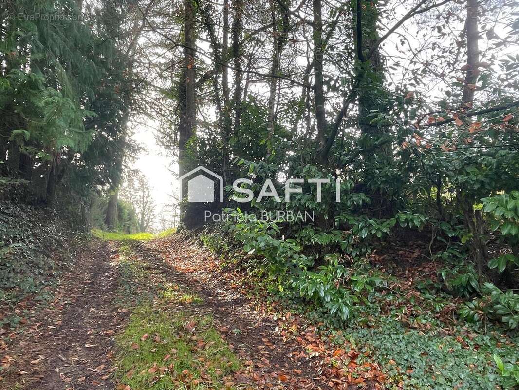 Photo 6 - Terrain à MOLAC