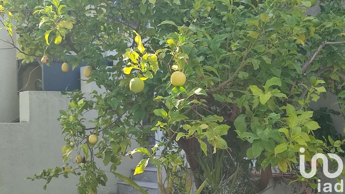 Photo 4 - Maison à TOULON