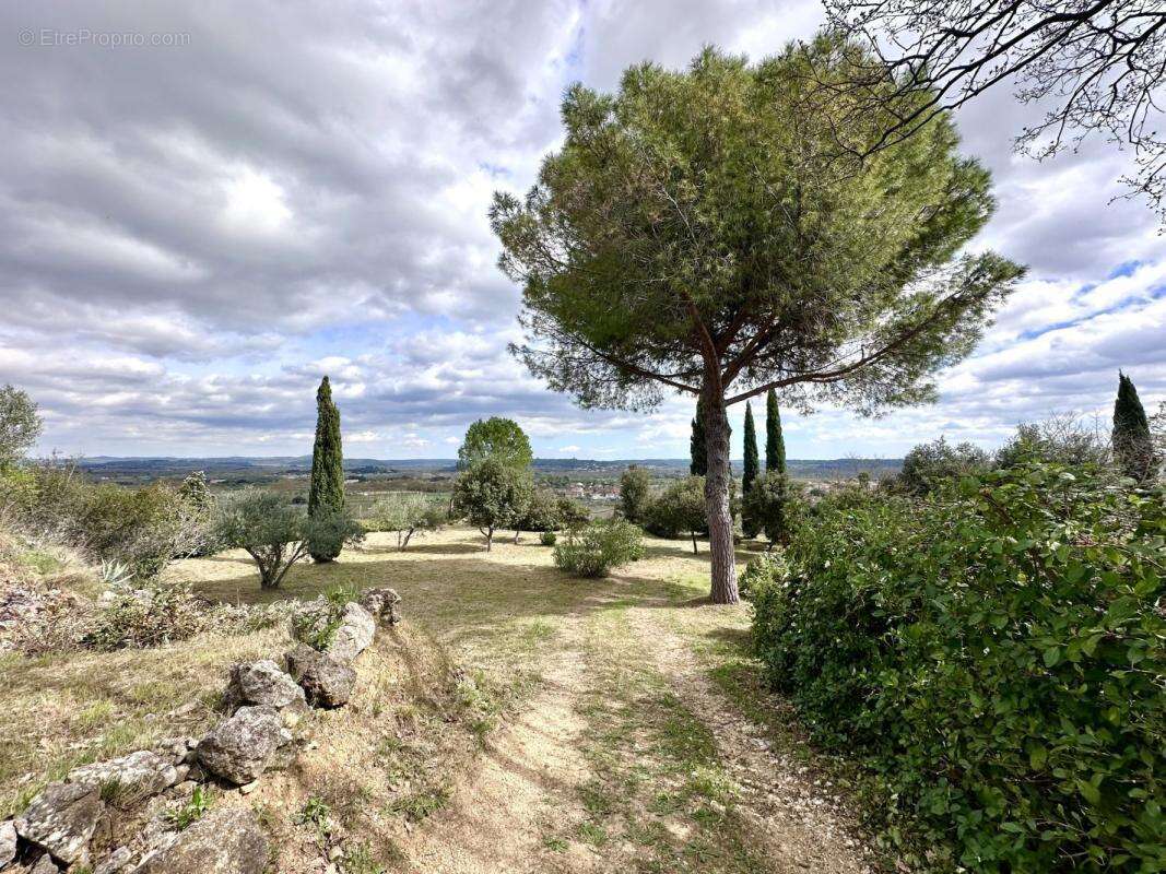 Maison 83 m² à Paulhan  - photo 4