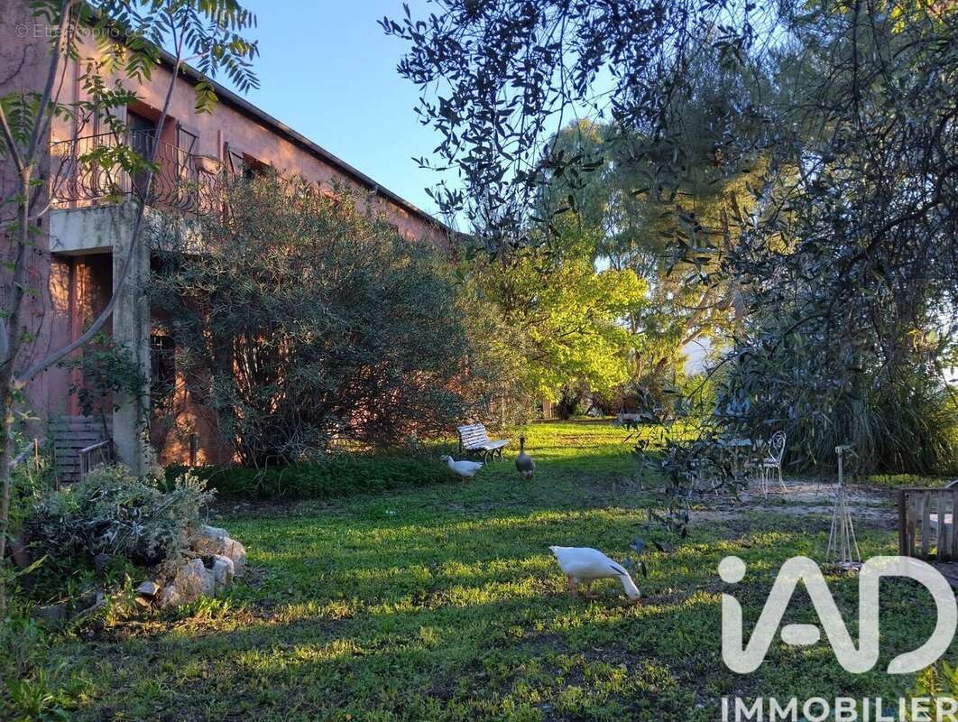 Photo 2 - Maison à NICE