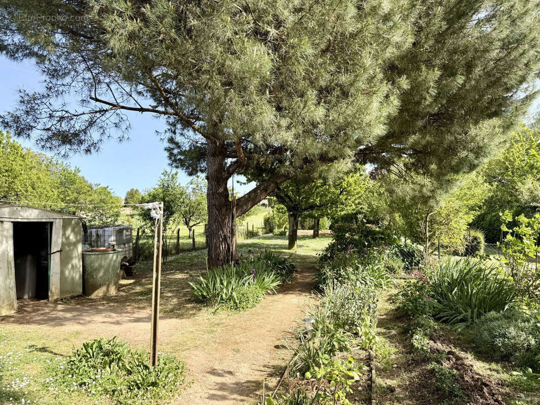 Photo 6 - Maison à FONTENAY-LE-COMTE