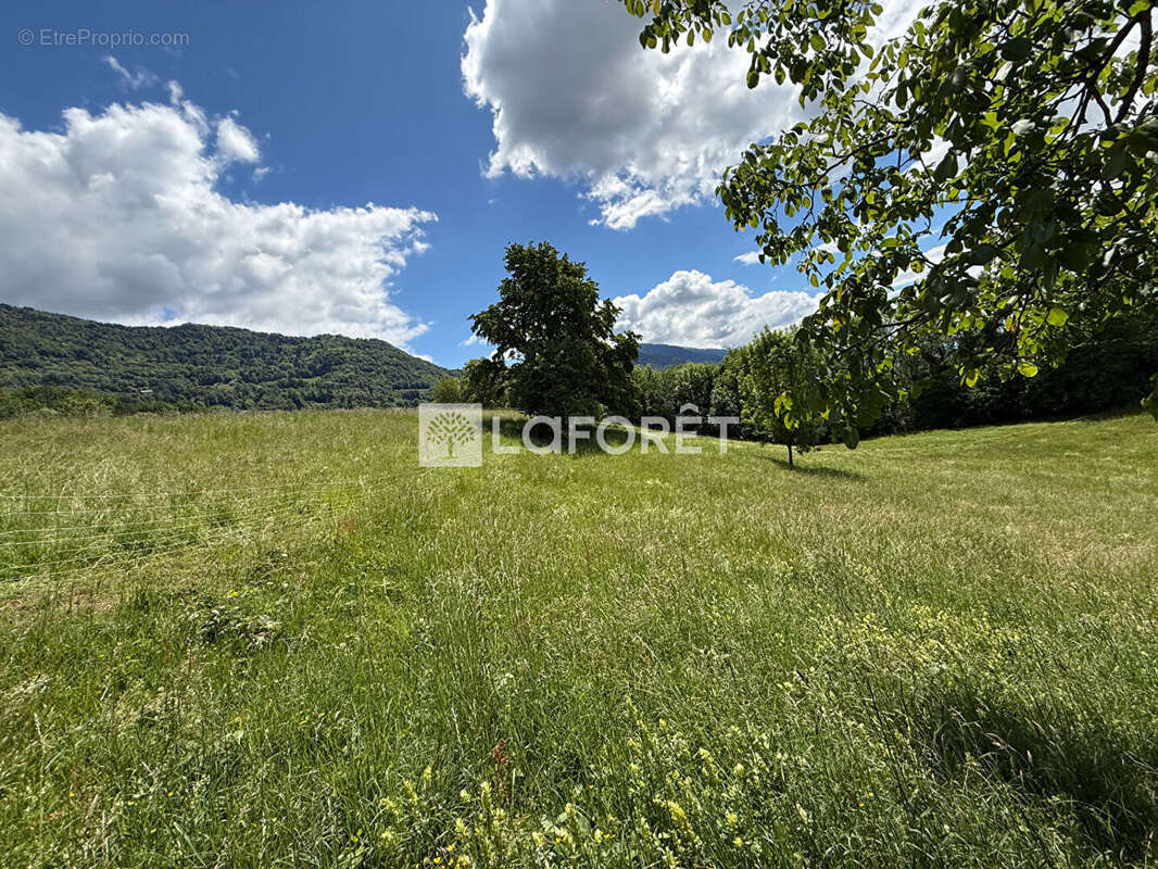 Terrain à CESARCHES