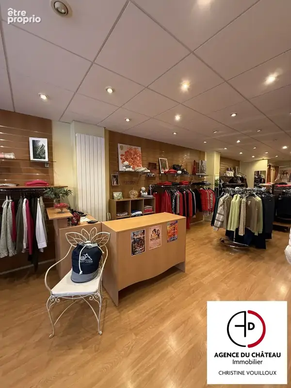 Commerce 100 m² à vendre à Chateauneuf-Sur-Loire (45110) - photo 3