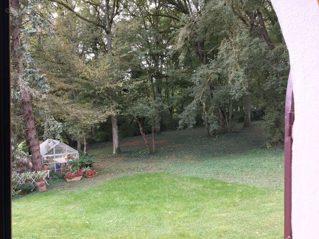 Belle propriété entouré de son parc boisé de 10700m2 - photo 14