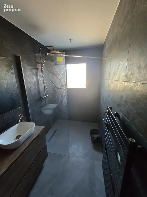Saint-martin d'oydes-chateau mercie 350 m2 - photo 12