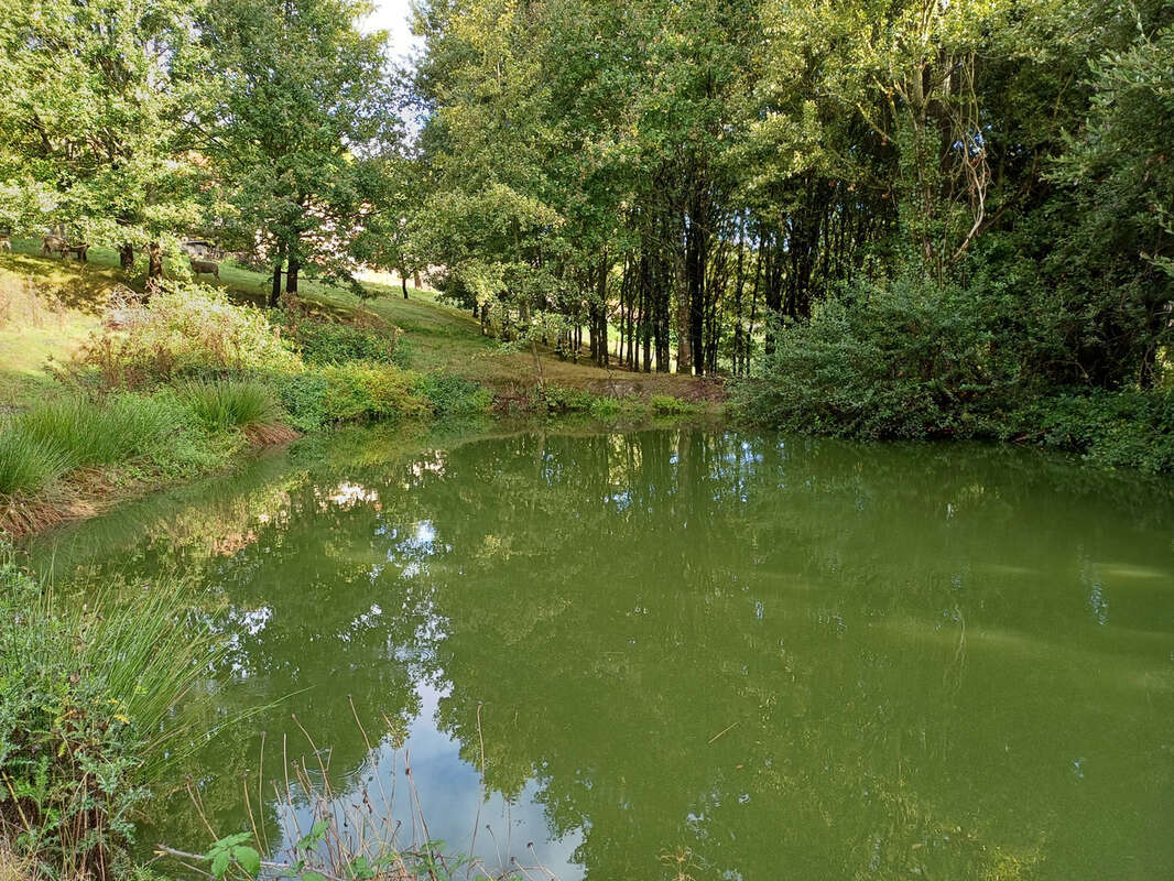 Maison à LA CHAIZE-LE-VICOMTE