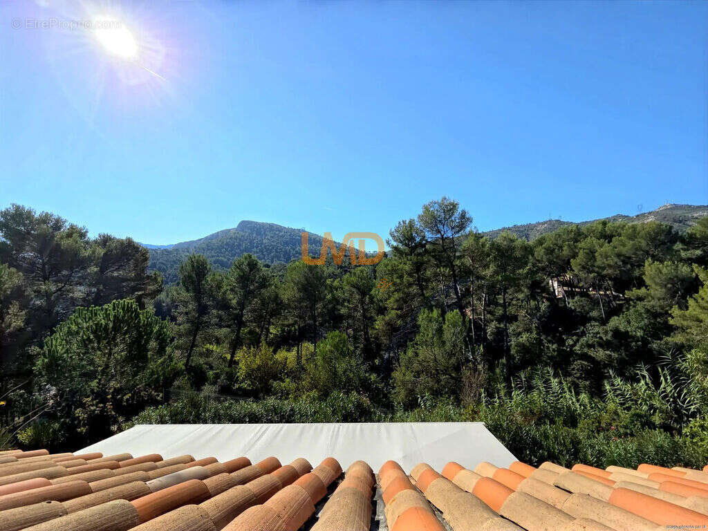 Propriété avec piscine et espace boisé - photo 2