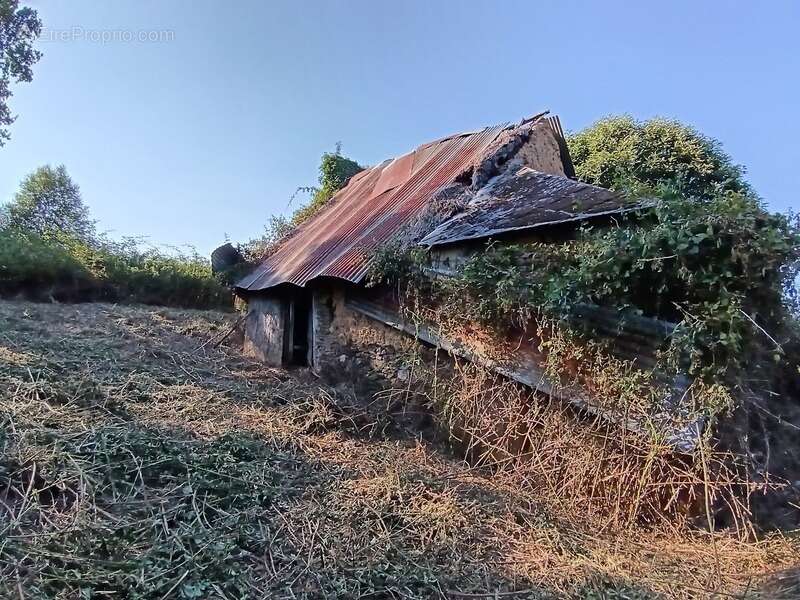 Terrain de loisirs de 2 300 m2  avec ancienne dépendance – Zone agricole – Crédin - photo 2