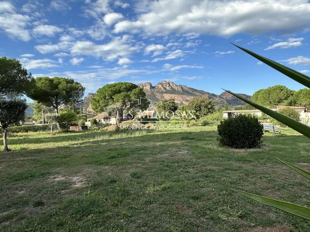 Terrain à ROQUEBRUNE-SUR-ARGENS