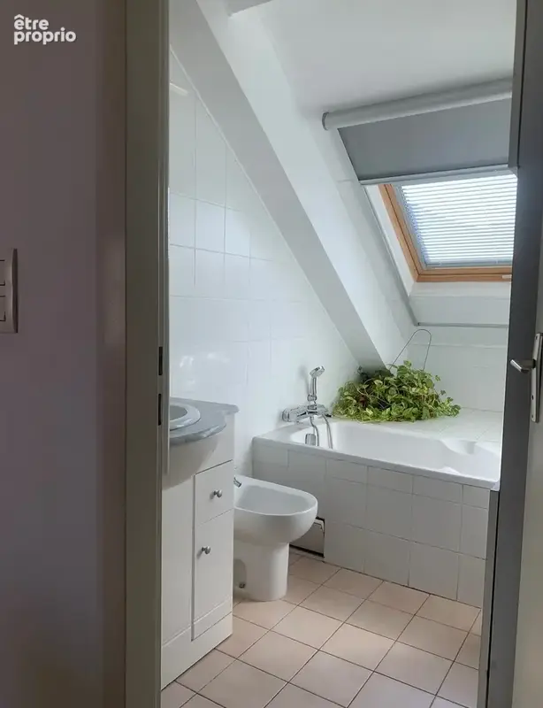 Appartement t3 à l ' ile rousse - photo 24