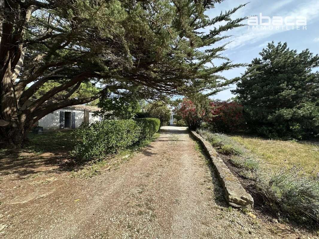 Face à l'océan,  Véritable maison de Famille aux Portes en Ré - photo 4