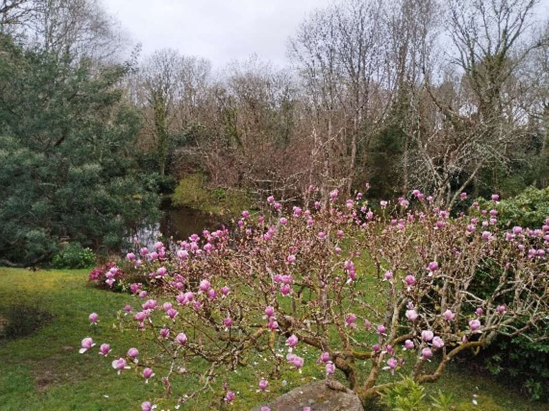 Maison à MOELAN-SUR-MER