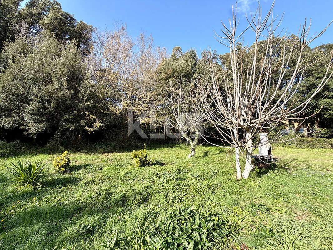 Maison à SISCO