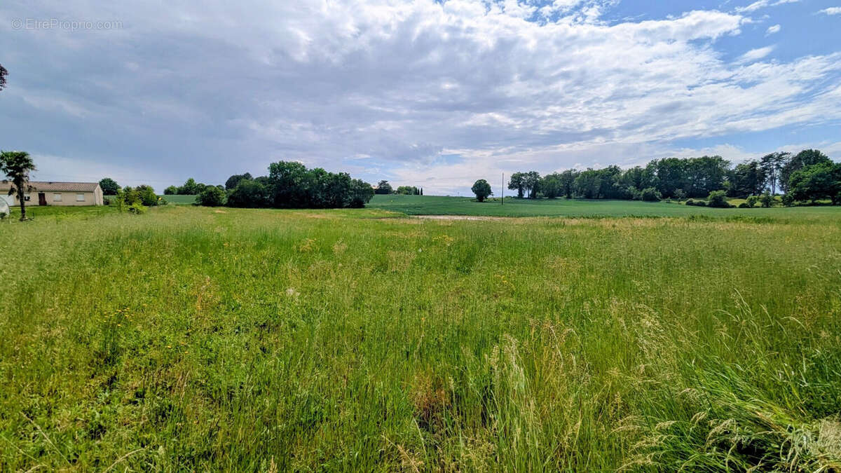 Terrain à BON-ENCONTRE