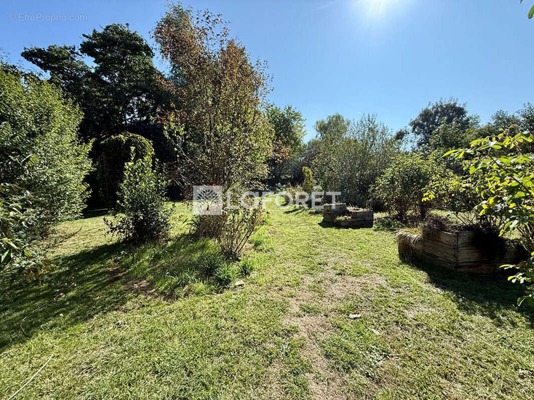 Maison à CASTETS-EN-DORTHE