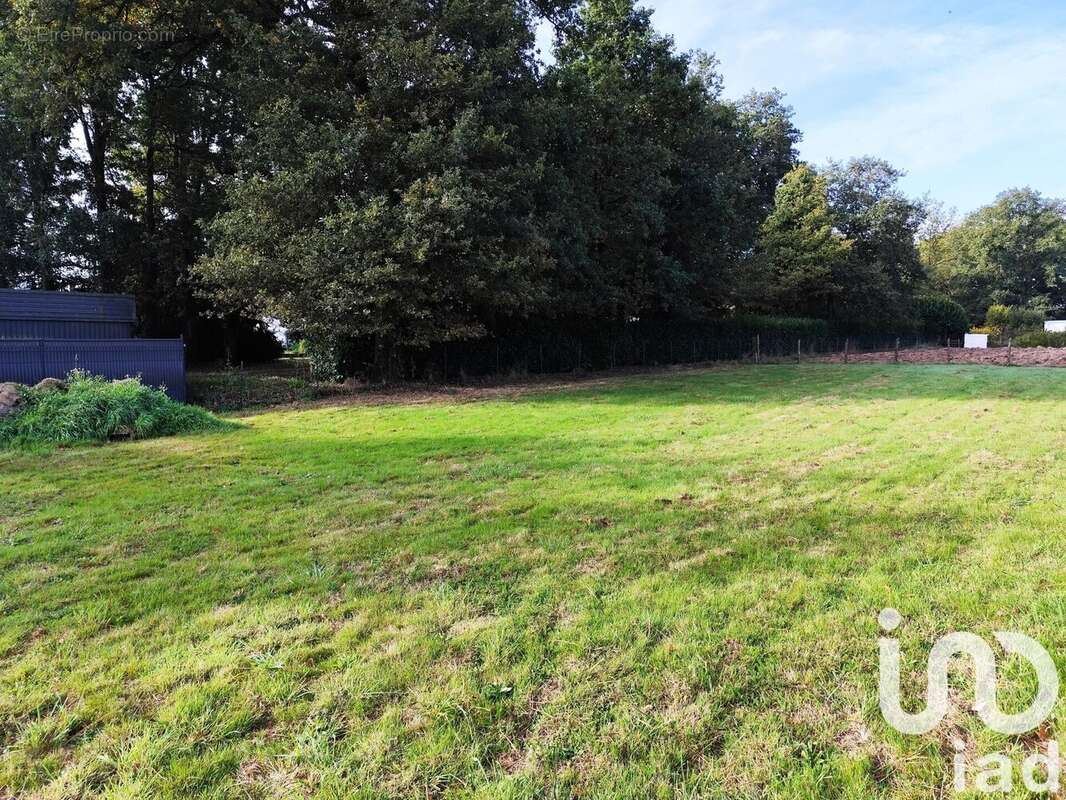 Photo 4 - Terrain à BAINS-SUR-OUST