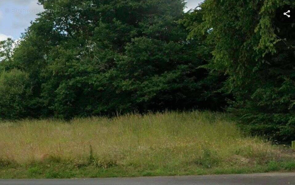 Terrain à COETLOGON