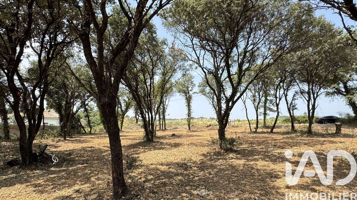 Photo 2 - Terrain à BEDARRIDES