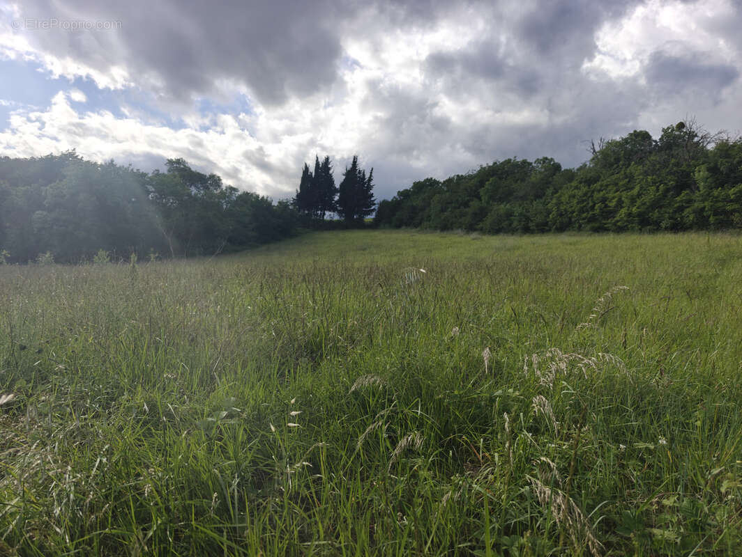 Terrain à BELVEZE-DU-RAZES