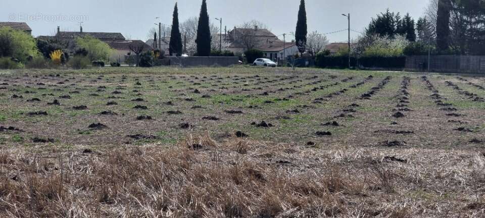 Terrain à CAMARET-SUR-AIGUES