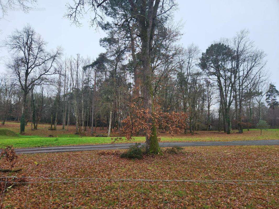 Terrain à CHANCELADE