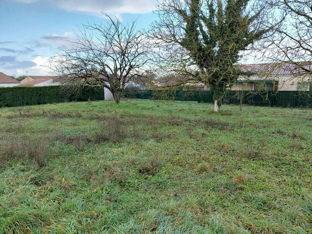 Terrain à SAINT-PORCHAIRE