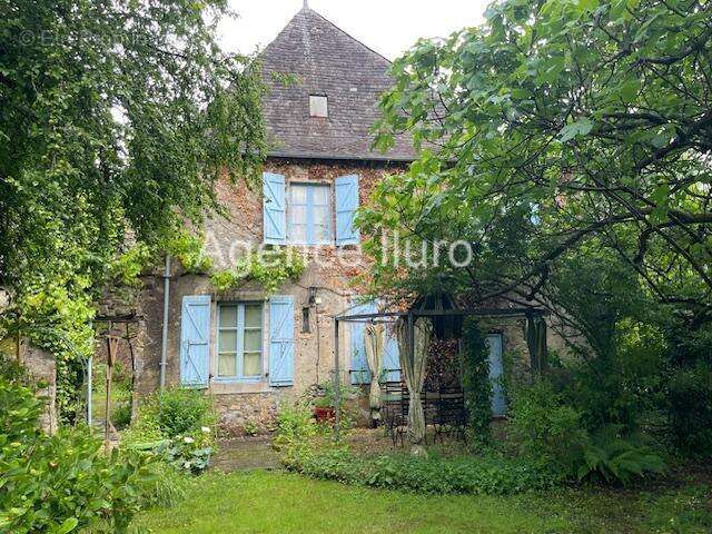 IMG_7009 - Maison à OLORON-SAINTE-MARIE