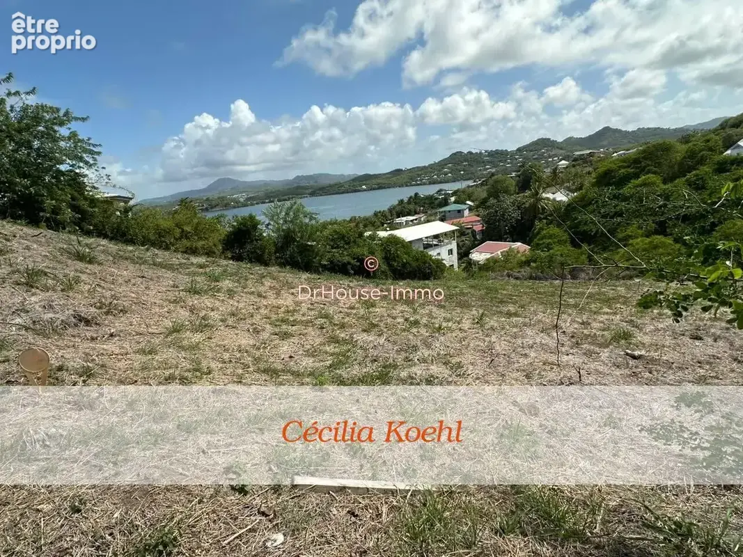 Terrain 3 699 m² à vendre à Le Robert (97231) - photo 4