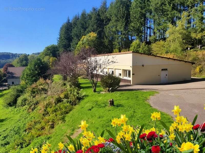 Maison à REMIREMONT