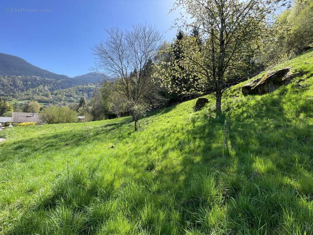 Terrain à SAINT-GERVAIS-LES-BAINS