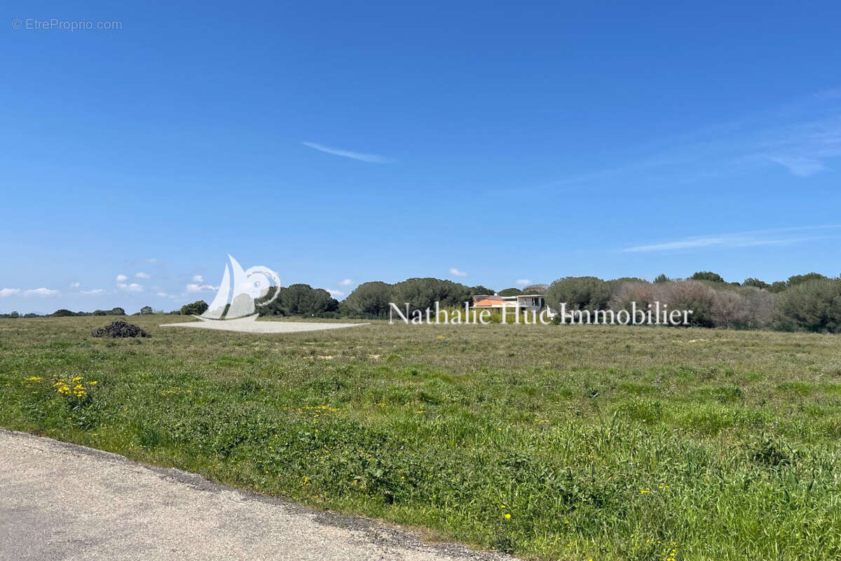 Terrain à PERPIGNAN