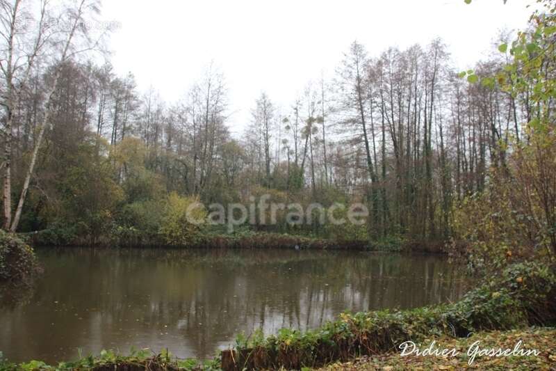 Terrain à vendre  GREEZ SUR ROC (72) - photo 3