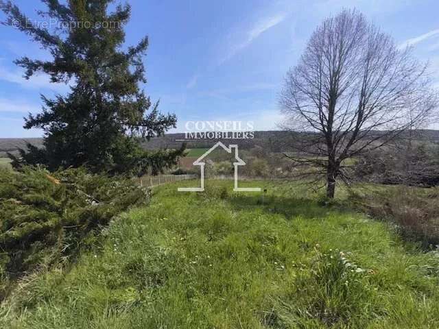 Maison à VILLENEUVE-SUR-YONNE