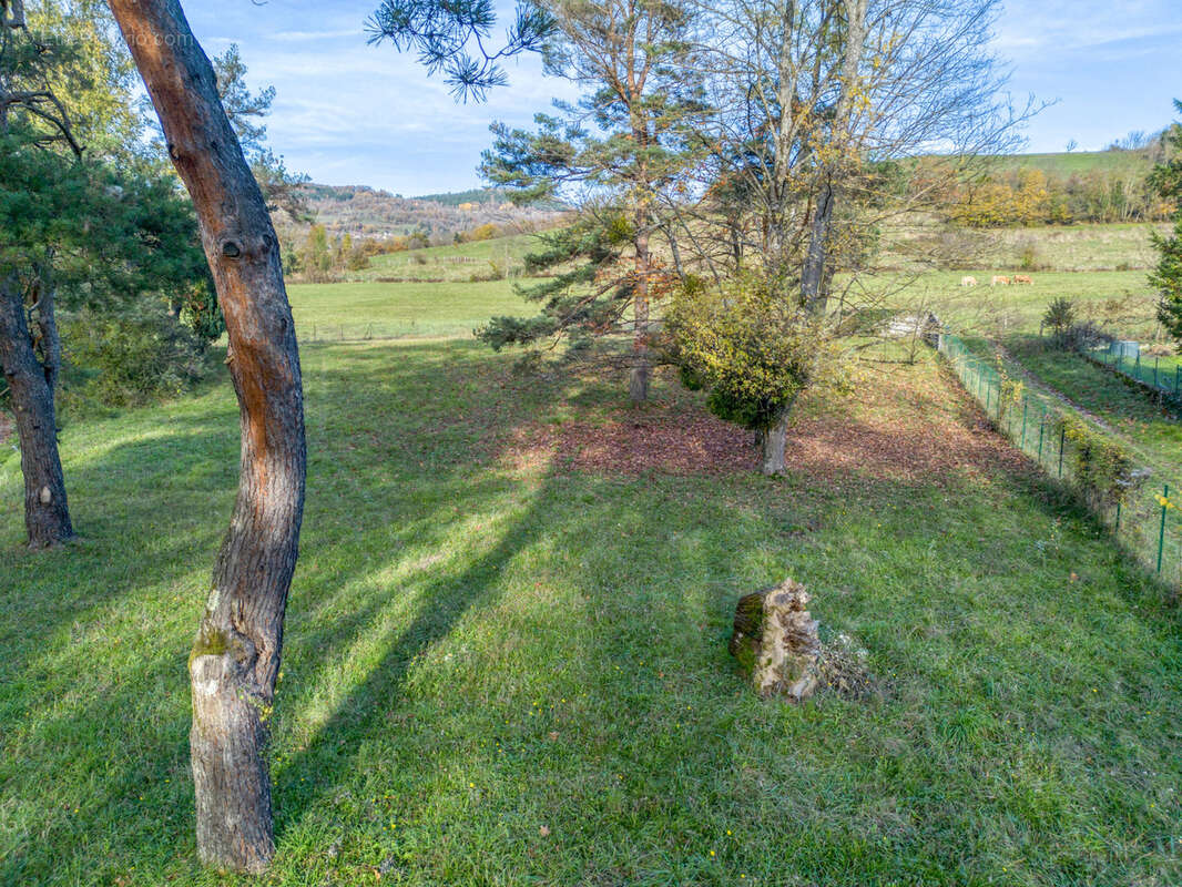 Terrain à BRIE-ET-ANGONNES