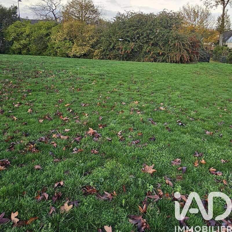 Photo 3 - Terrain à DOMLOUP